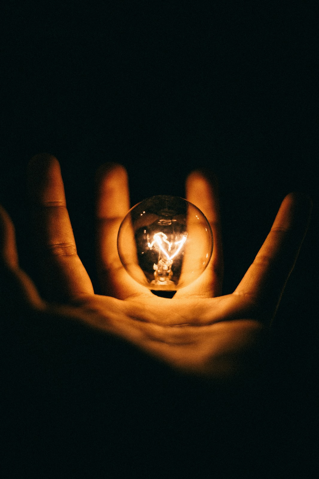 A light bulb in one hand. It symbolizes enlightenment