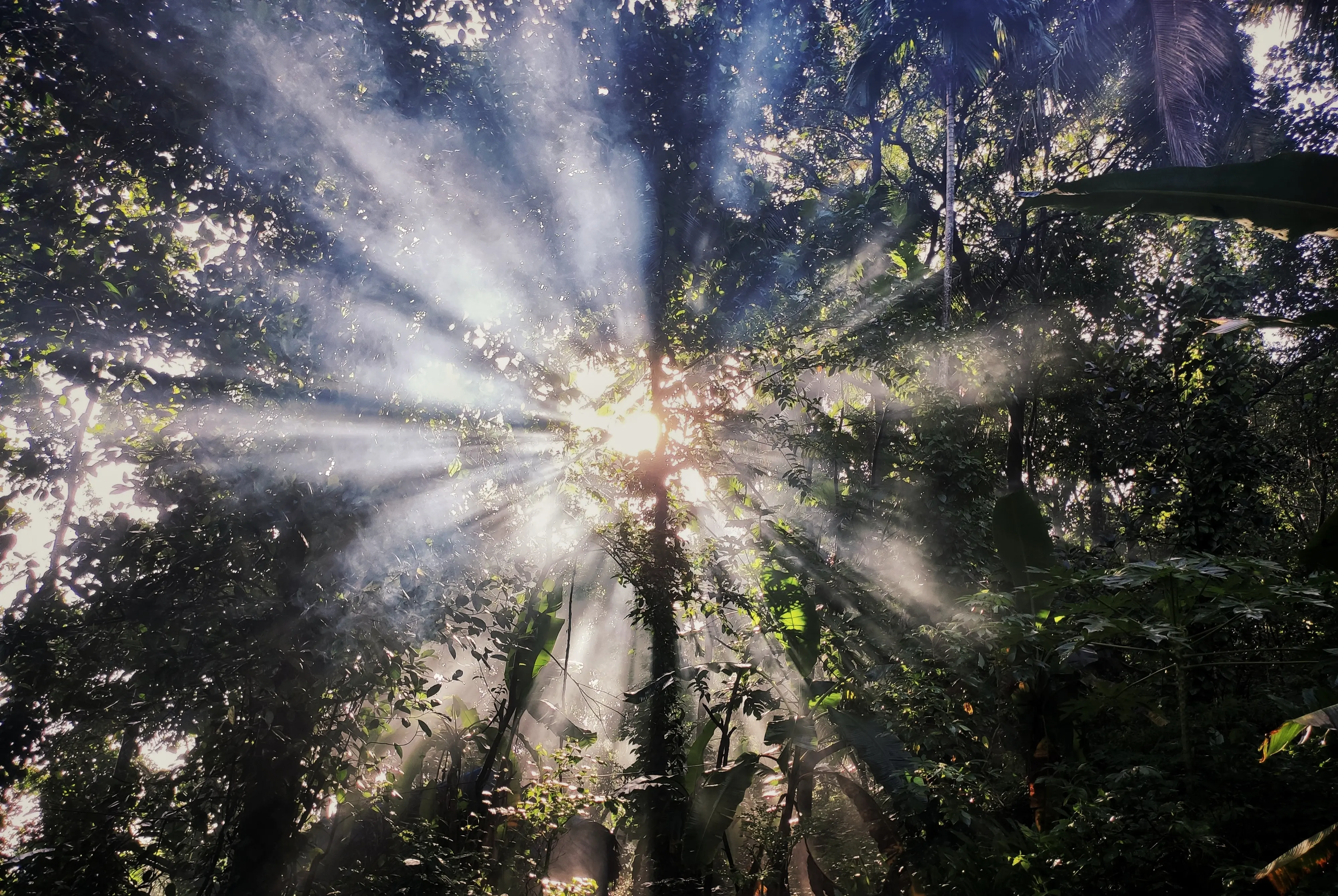 Sunlight 